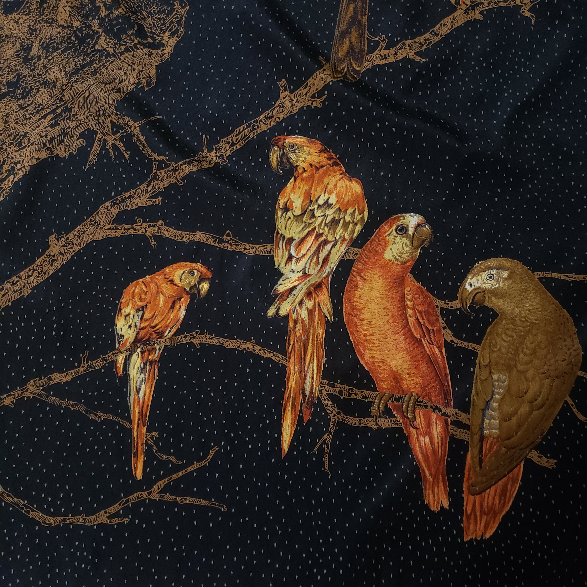 Birds of a feather silk scarf